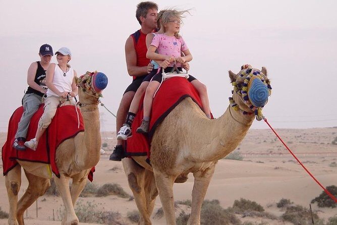Morning Desert Safari with Quad Bike - Practical Considerations
