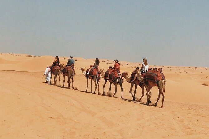 Morning Desert Safari with Quad Bike - What Do Travelers Say?