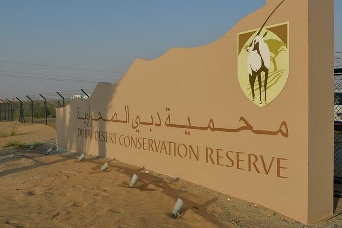 Morning desert safari with transport from Dubai - Introduction