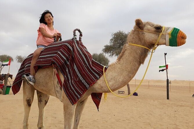 Morning Dubai desert safari - camel rides, quad bikes, dune buggies,dune bashing - An In-Depth Look at the Experience