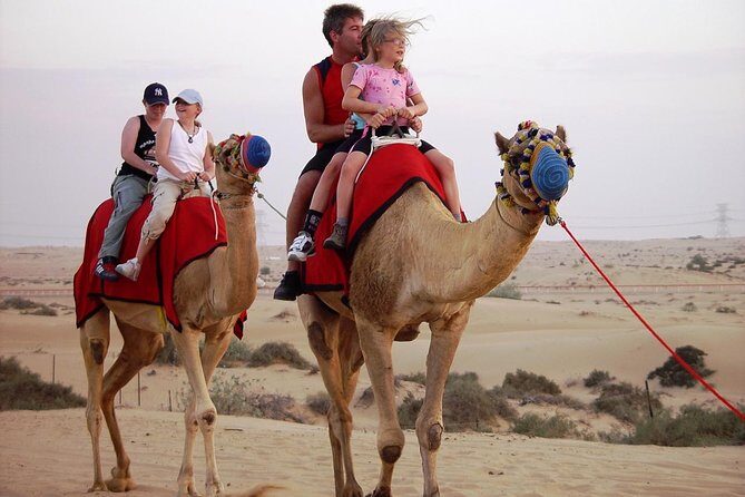 Morning Dubai Desert Safari with Camel Ride & Sand boarding - The Value and What It Means for You