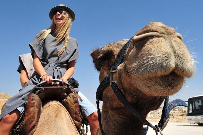 Morning Dubai Quad Bike with Sand boarding and Camel ride - Who This Tour Is Best For