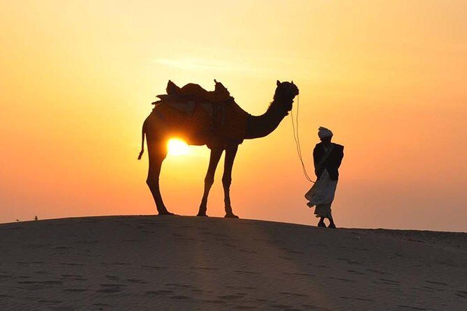 Morning Dune Bashing, Including Camel Riding and Sand Boarding from Dubai - Key Points