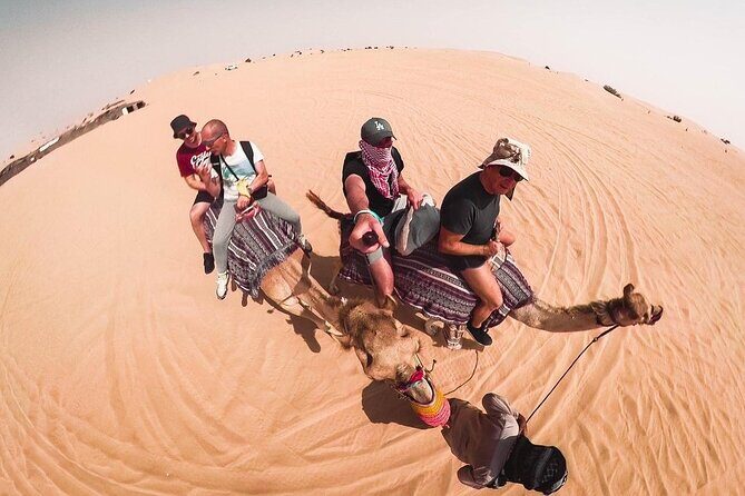 Morning Dune Bashing, Including Camel Riding and Sand Boarding from Dubai - Who Should Book This Tour?