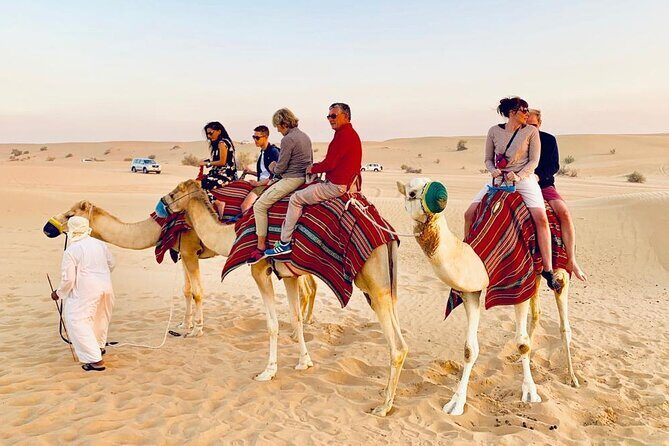 Morning Dune Bashing with Camel Trekking and sand boarding - Who Will Love This Tour?