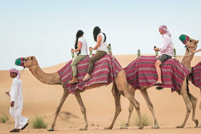 Morning Dune Drive with Sandboarding and Camel Ride - Practical Tips for Travelers
