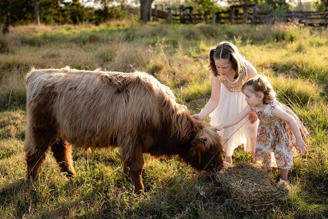 Morning Farm Experience near Gympie & Noosa - Key Points