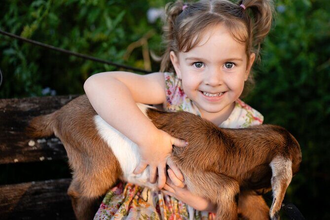 Morning Farm Experience near Gympie & Noosa - What’s Included and How It Adds to the Value