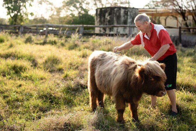 Morning Farm Experience near Gympie & Noosa - Practical Details and Tips