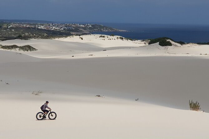 Morning Fatbike Dune Tour - Why Its a Must-Do for Certain Travelers