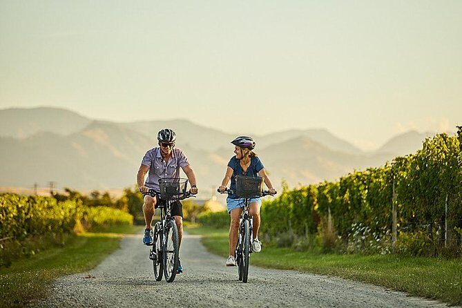 Morning Guided with Afternoon Self-Guided Biking Wine Tour - A Closer Look at the Itinerary