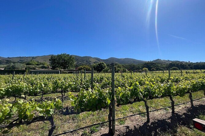 Morning Half Day Carmel Valley Wine Tasting Tour - Key Points