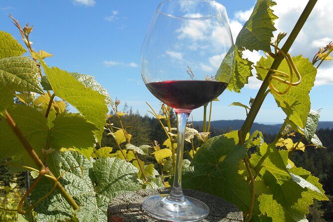 Morning Half Day Carmel Valley Wine Tasting Tour - An Overview of What the Tour Offers