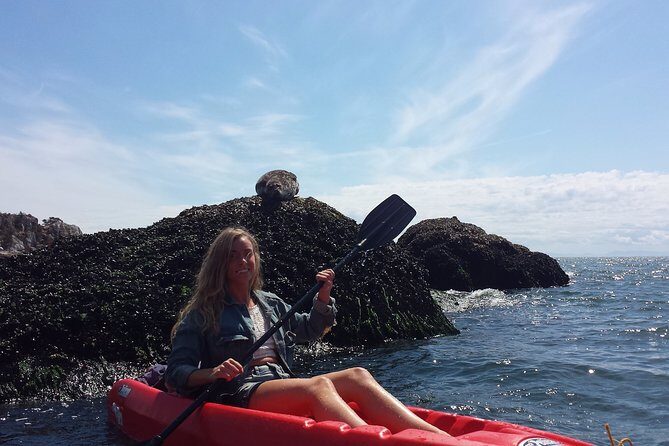 Morning Kayak & Seal Cruise - Introduction