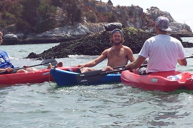 Morning Kayak & Seal Cruise - Key Points