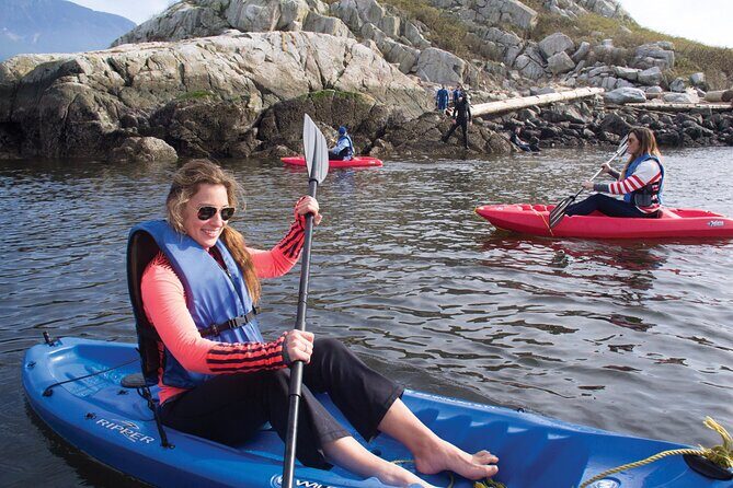Morning Kayak & Seal Cruise - Who This Tour Is Best For