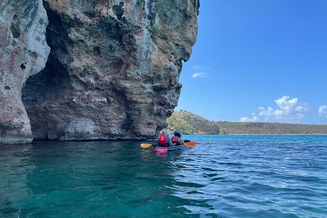 Morning Kayaking Tour to Little Bay - Key Points