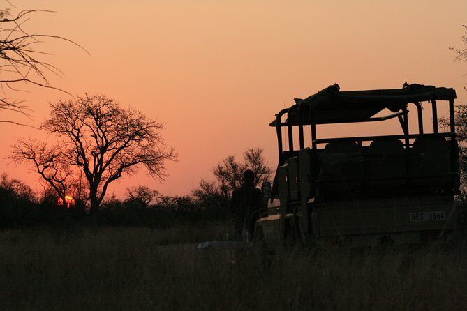 Morning Kruger National Park Safari - Key Points