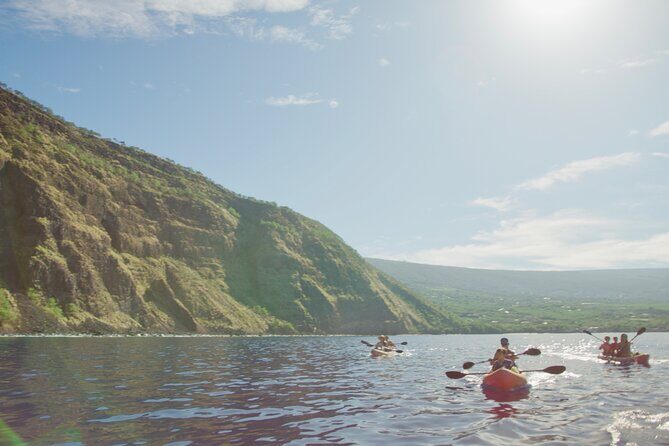 Morning Magic Kayak and Snorkel Adventure in Kealakekua Bay - Who Should Book This Tour?