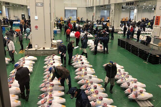 Morning Market Adventure: Toyosu & Tsukiji with Tuna Auction - Key Points