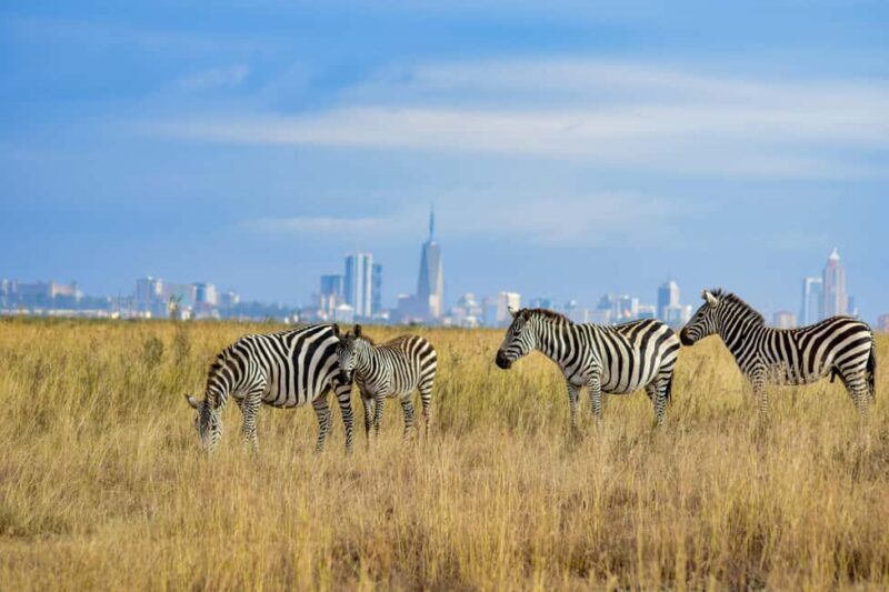 Morning Nairobi National Park Game drive - Final Thoughts