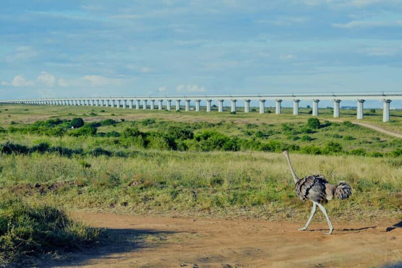 Morning Nairobi National Park Game drive - FAQ