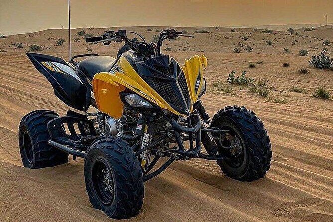 Morning Quad Biking & Red Sand Desert Safari , Camel Ride, Sand Boarding - What Travelers Say