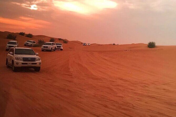 Morning Quad Biking & Red Sand Desert Safari , Camel Ride, Sand Boarding - Analyzing the Value