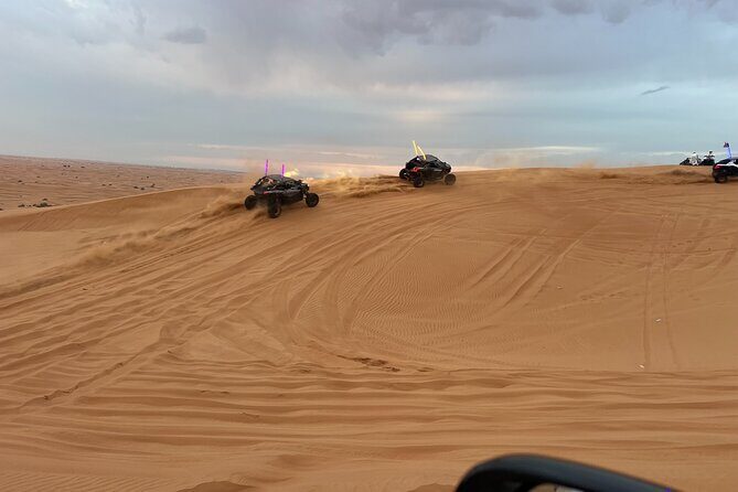 Morning Red Dune Desert Safari Camel Ride and Sandboarding - The Experience in Detail: What to Expect from the Tour