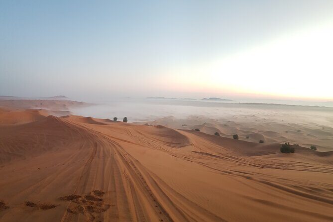Morning Red Dune Desert Safari in Dubai with Camel Ride and Sand Boarding - What to Expect from the Morning Desert Safari