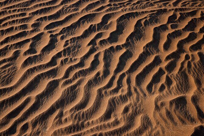 Morning Red Dune Desert Safari in Dubai with Camel Ride and Sand Boarding - FAQ