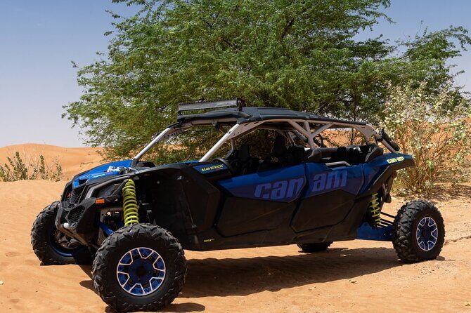 Morning Safari with Camel Ride and Quad Bike Single Seater - What You Can Expect from the Tour