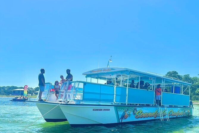 Morning Snorkel & Dolphin Adventure - A Detailed Look at the Morning Snorkel & Dolphin Adventure in Destin
