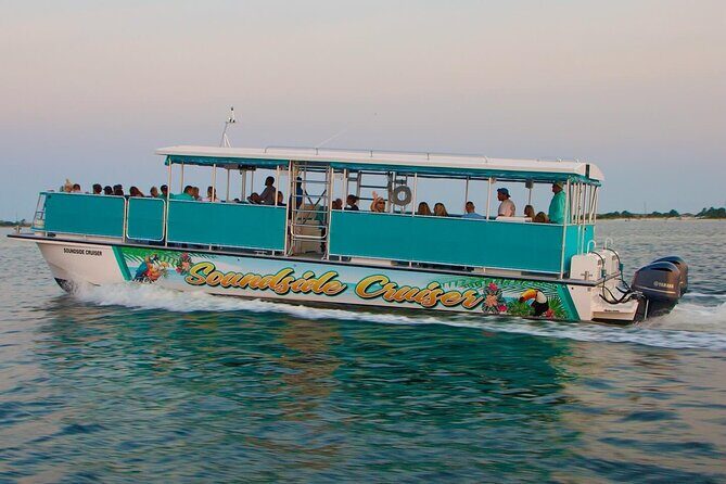 Morning Snorkel & Dolphin Adventure - The Experience in Detail