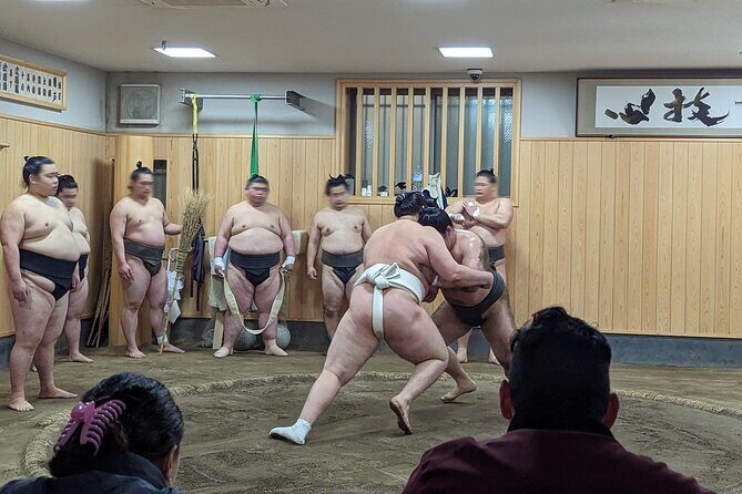 Morning Sumo Practice Viewing in Tokyo - An In-Depth Look at the Tour Experience