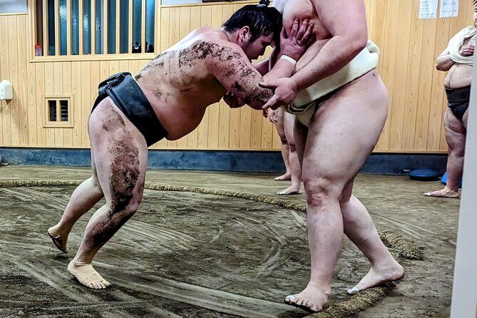 Morning Sumo Practice Viewing in Tokyo - Authentic Experiences and Insights from Travelers