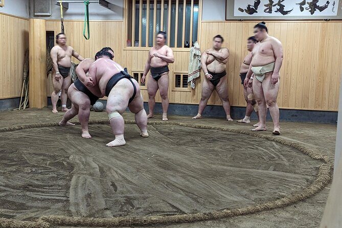 Morning Sumo Practice Viewing in Tokyo - Who Will Love This Tour?