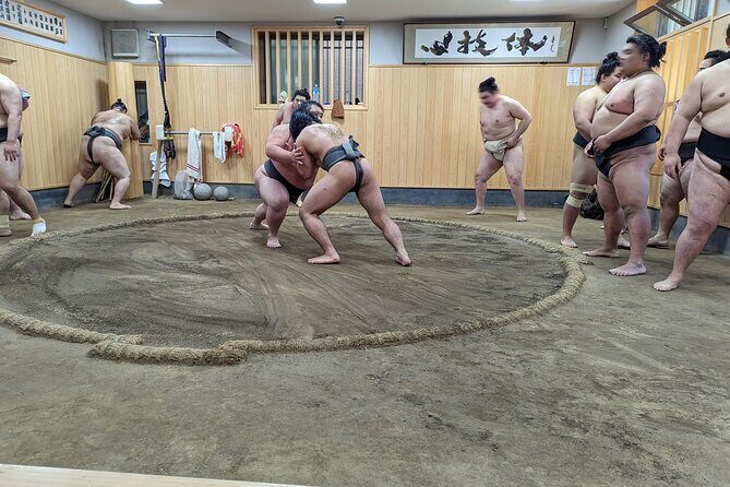 Morning Sumo Practice Viewing in Tokyo - FAQs