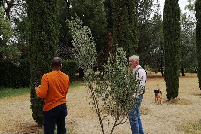 Morning Tour and Olive product tasting - Exploring the Best of San Miguel de Allende’s Olive Heritage