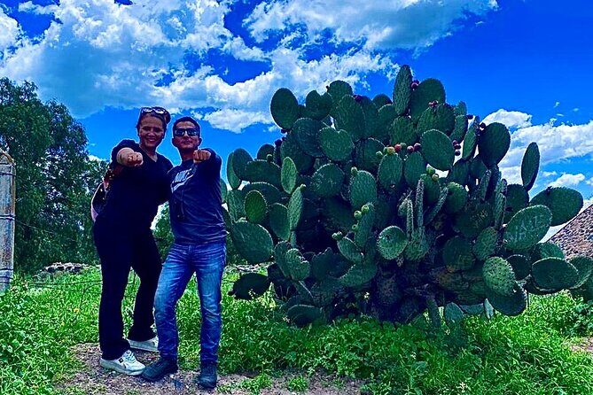 Morning Tour of the Teotihuacan Pyramids - Who Will Love This Tour?