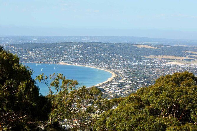 Mornington Peninsula Boutique Wine and Lunch Small Group Tour - The Sum Up