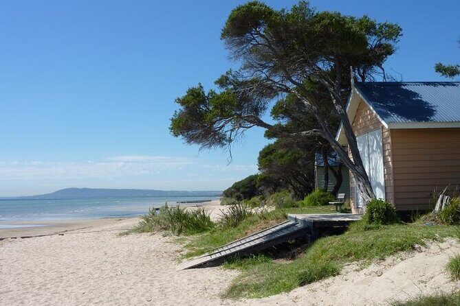Mornington Peninsula Coastal Discovery Tour from Melbourne - Key Points