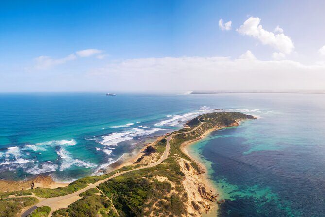 Mornington Peninsula Coastal Discovery Tour from Melbourne - A Deeper Look at the Tour Experience