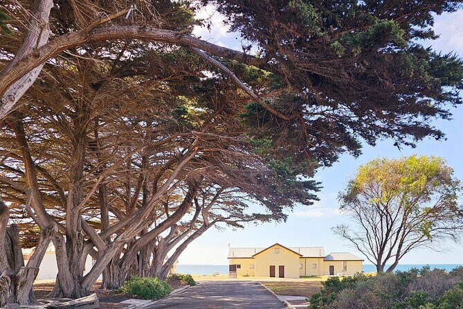 Mornington Peninsula Coastal Discovery Tour from Melbourne - FAQ
