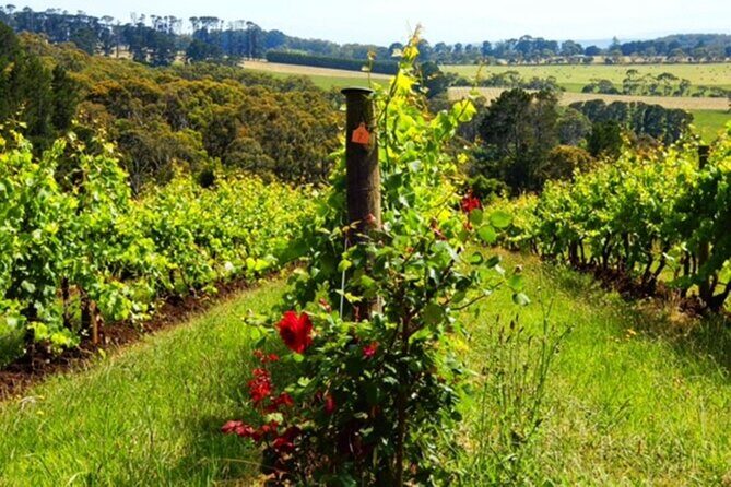 Mornington Peninsula Day Tour. Your Day Your Way. Your group only - The Bottom Line: Who Should Consider This Tour?