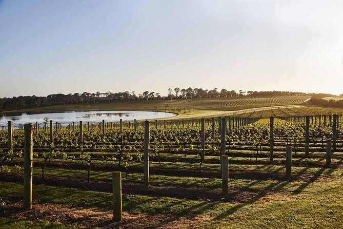 Mornington Peninsula Food and Wine Taste Trail - Practical Considerations