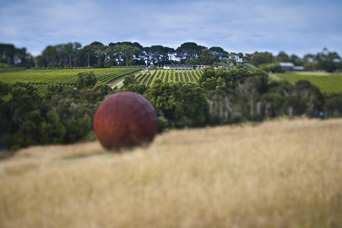 Mornington Peninsula Food and Wine Taste Trail - The Sum Up: Who Will Love This Experience?