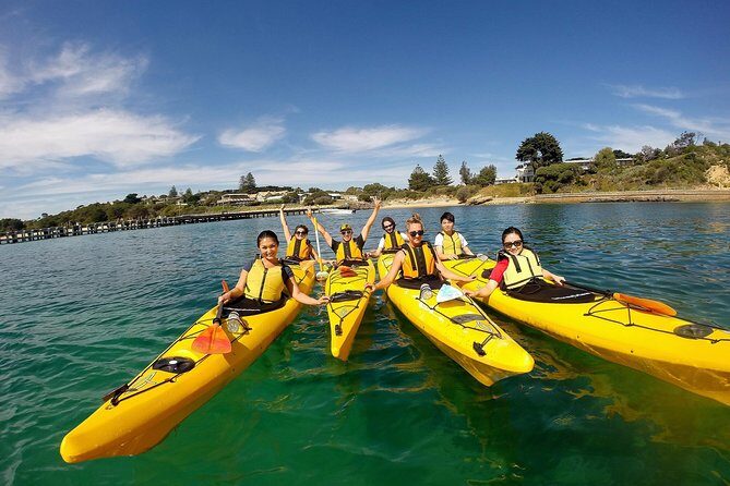 Mornington Peninsula Kayak Coastline Tour of Dolphin Sanctuary - Key Points