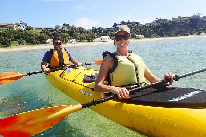 Mornington Peninsula Kayak Coastline Tour of Dolphin Sanctuary - The Pros and Cons