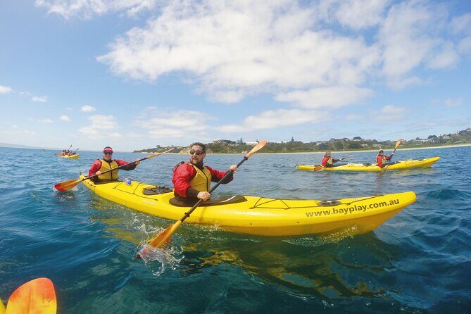 Mornington Peninsula Kayak Coastline Tour of Dolphin Sanctuary - Who Is This Tour Best For?